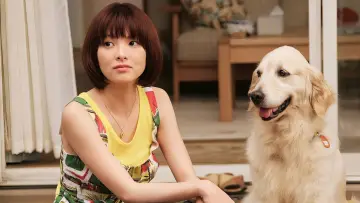 Backdrop to the movie "10 Promises to My Dog" #1910267
