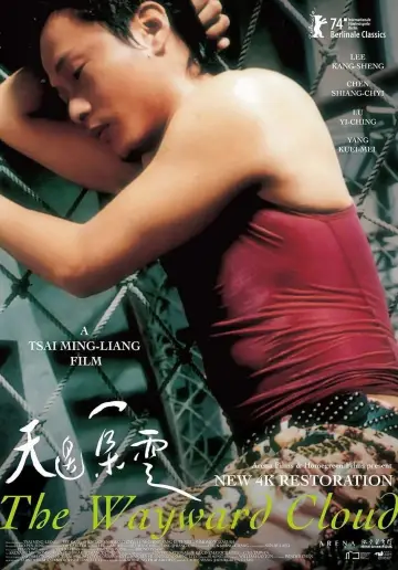 Poster to the movie "The Wayward Cloud" #1852569
