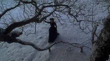 Backdrop to the movie "The Portrait of a Lady" #1523627