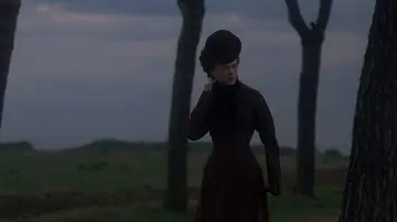 Backdrop to the movie "The Portrait of a Lady" #1523628