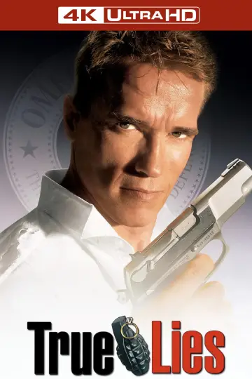 Poster to the movie "True Lies" #618680