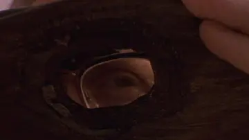 Backdrop to the movie "Falling Down" #1198556