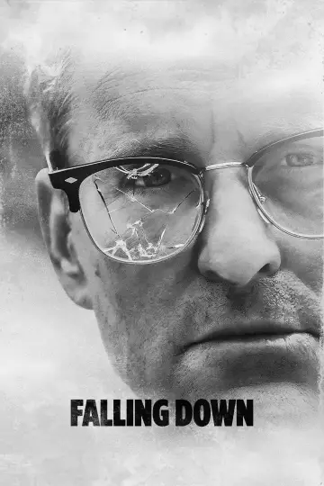 Poster to the movie "Falling Down" #1198569