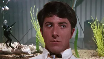Backdrop to the movie "The Graduate" #203264