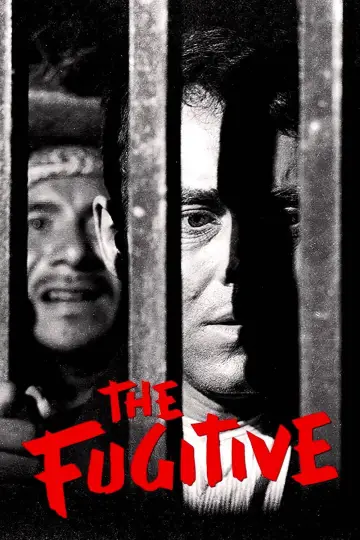 Poster to the movie "The Fugitive" #1797601