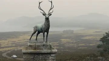 Backdrop to the movie "Skyfall" #771043