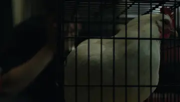 Backdrop to the movie "The Social Network" #588890