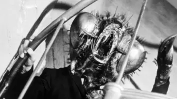 Backdrop to the movie "Return of the Fly" #1069339