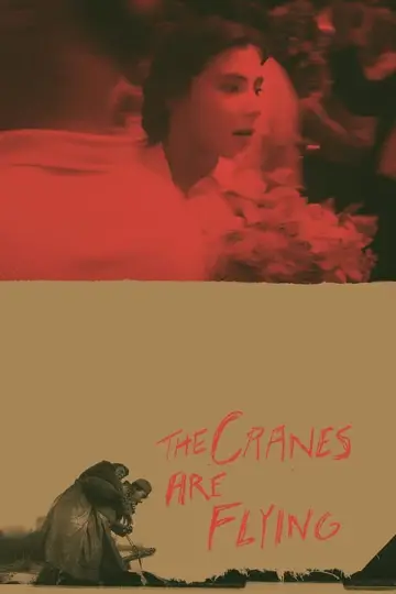 Poster to the movie "The Cranes Are Flying" #181586