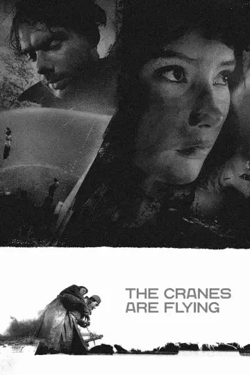 Poster to the movie "The Cranes Are Flying" #181593