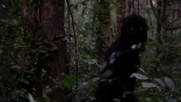 Backdrop to the movie "Uncle Boonmee Who Can Recall His Past Lives" #271415