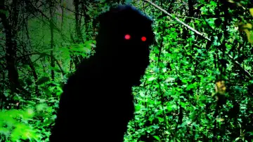 Backdrop to the movie "Uncle Boonmee Who Can Recall His Past Lives" #996511