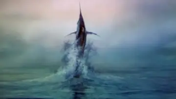 Backdrop to the movie "The Old Man and the Sea" #400216