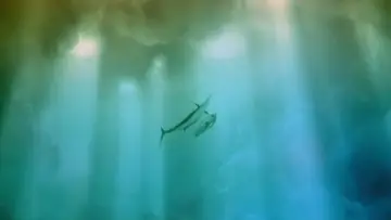 Backdrop to the movie "The Old Man and the Sea" #400220