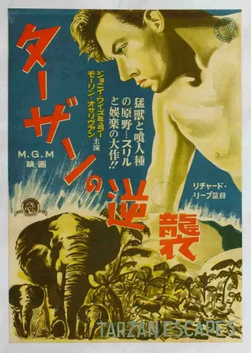 Poster to the movie "Tarzan Escapes" #466991