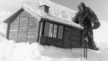 Backdrop to the movie "Terror in the Midnight Sun" #1621808