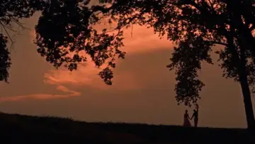 Backdrop to the movie "Picnic" #1652634