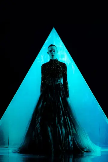 Poster to the movie "The Neon Demon" #850019