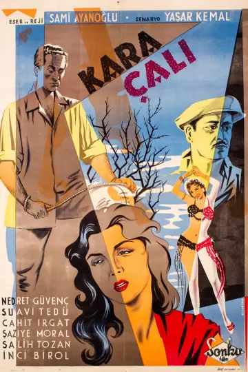 Kara Çalı Poster