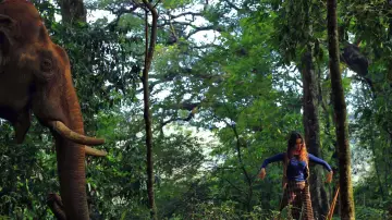 Backdrop to the movie "Iyobinte Pusthakam" #1622701