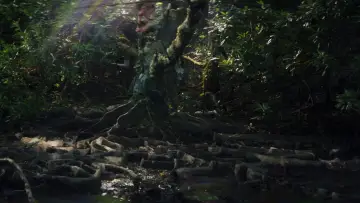 Backdrop to the movie "Annihilation" #618587