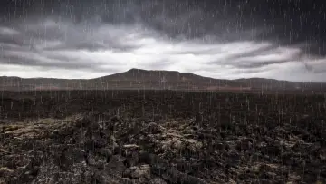 Backdrop to the movie "Mass Extinction: Life at the Brink" #1624630