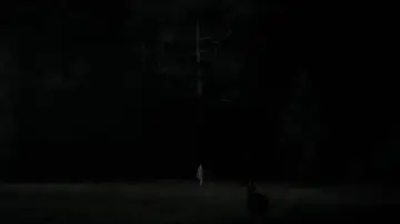 Backdrop to the movie "The Witch" #600173