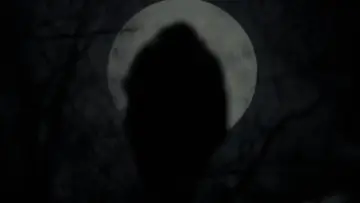 Backdrop to the movie "The Witch" #600202