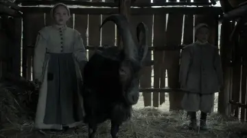 Backdrop to the movie "The Witch" #600234