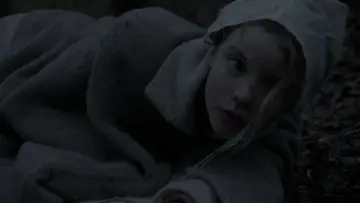 Backdrop to the movie "The Witch" #600257