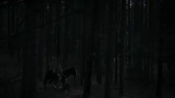 Backdrop to the movie "The Witch" #600261