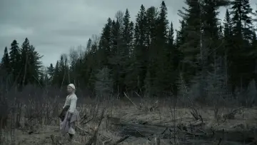 Backdrop to the movie "The Witch" #600273