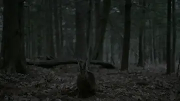 Backdrop to the movie "The Witch" #600297