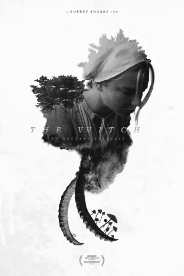 Poster to the movie "The Witch" #66201