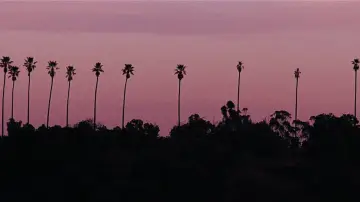 Backdrop to the movie "La La Land" #1214493