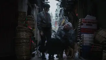 Backdrop to the movie "Ghost in the Shell" #628294