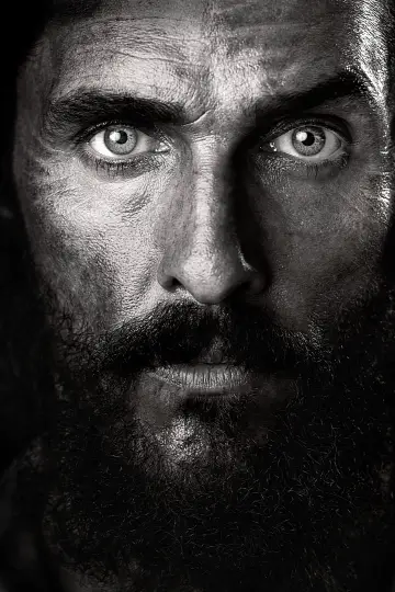 Poster to the movie "Free State of Jones" #268110