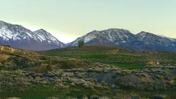 Backdrop to the movie "Mythica: A Quest for Heroes" #1537385