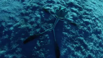 Backdrop to the movie "Mune: Guardian of the Moon" #901133