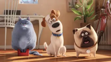 Backdrop to the movie "The Secret Life of Pets" #1731962