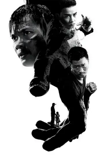 Poster to the movie "SPL 2: A Time for Consequences" #860872