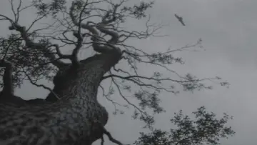 Backdrop to the movie "The Temple of Wild Geese" #1568460