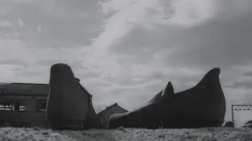 Backdrop to the movie "The Temple of Wild Geese" #1568461