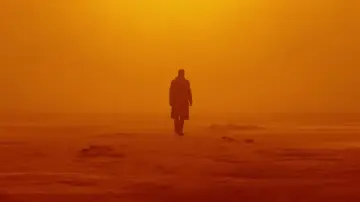 Backdrop to the movie "Blade Runner 2049" #162300