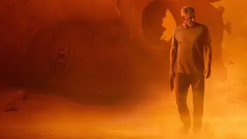 Backdrop to the movie "Blade Runner 2049" #162322