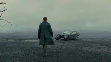 Backdrop to the movie "Blade Runner 2049" #162339