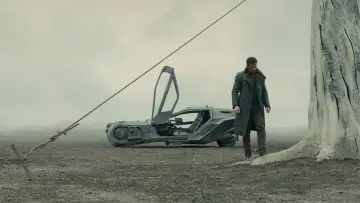 Backdrop to the movie "Blade Runner 2049" #548684