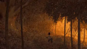 Backdrop to the movie "The Red Turtle" #211950