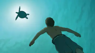 Backdrop to the movie "The Red Turtle" #211962