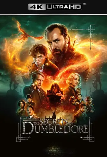 Poster to the movie "Fantastic Beasts: The Secrets of Dumbledore" #7238